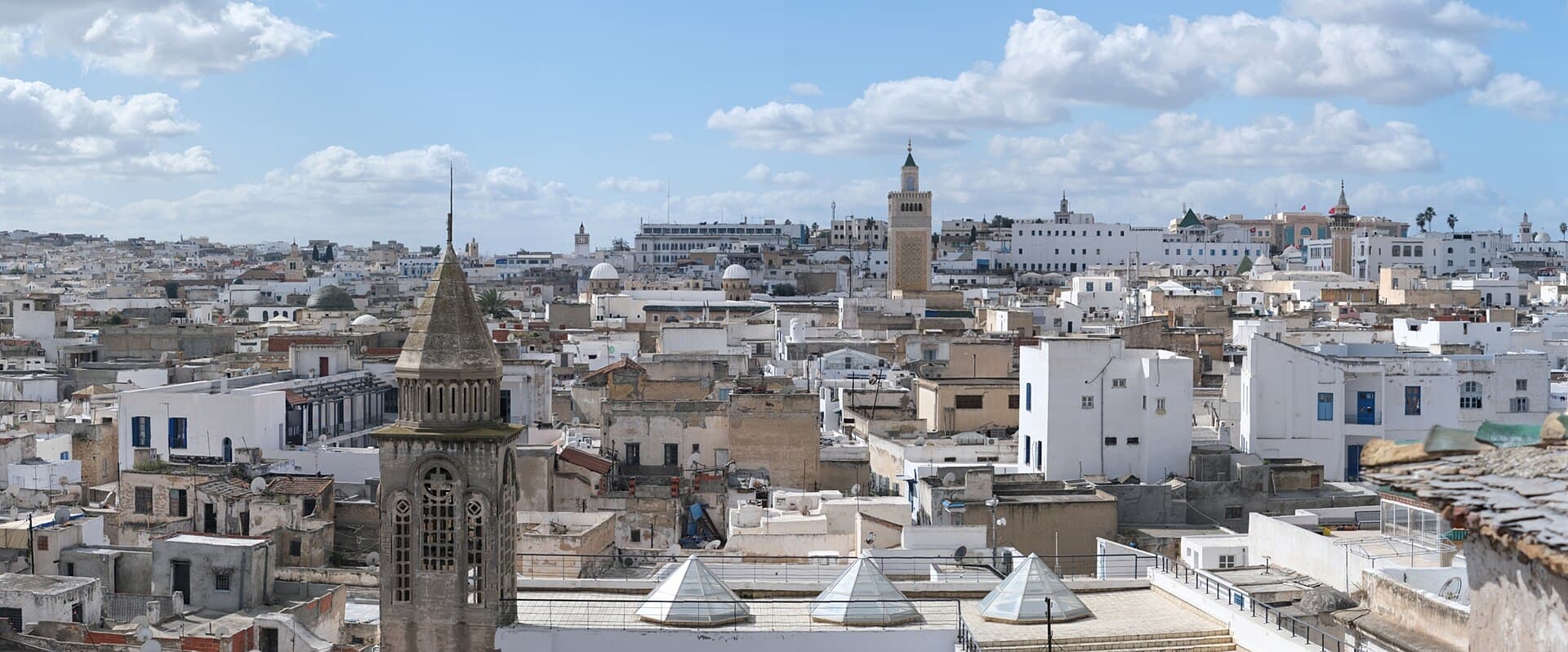 Panorama of the medina of Tunis